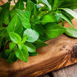 Greek oregano - Origanum vulgare ssp. hirtum - Intense Flavour, Ideal Herb for Dishes! - Fresh Seeds