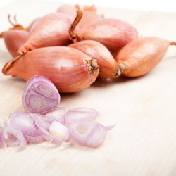 Cipolla - Zebrune - Delicata, dolce: perfetta per cucina versatile - Semi Freschi