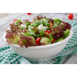 Семена от маруля Червена салата - Lactuca sativa - 1150 семена - Lactuca sativa L. var. longifolia