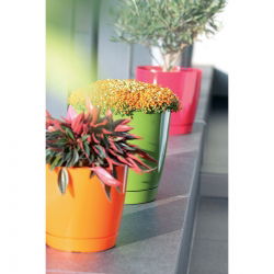 Pot bunga bundar dengan cawan - Coubi - 15,5 cm - Putih - 