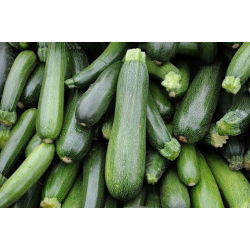 Кабачок - Soraya - 20 семена - Cucurbita pepo
