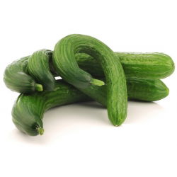 Seme kumare kitajski slangen - Cucumis sativus - 175 semen - semena