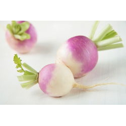 Nabo - De Nancy - 2500 semillas - Brassica rapa subsp. Rapa