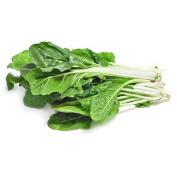 Pazı "Lucullus" - 225 tohum - Beta vulgaris var. cicla.  - tohumlar