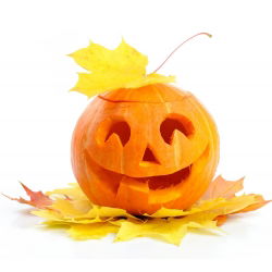 Tykev okrasná - Jack O'Lantern - Obří dýně slávy – dokonalost na Halloween - Čerstvá semena