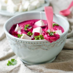 Pancar Rywal tohumları - Beta vulgaris var. conditiva - 500 tohumlar