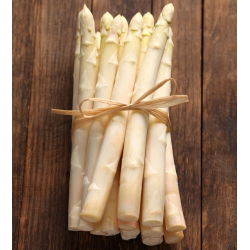 Насіння спаржі - Asparagus officinalis - 50 насінин - Asparagus officinalis L. - насіння