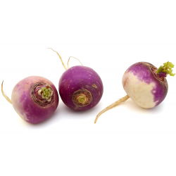Nabo - De Nancy - 2500 semillas - Brassica rapa subsp. Rapa