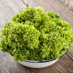 Маруля Lollo Bionda семена - Lactuca sativa - 1200 семена - Lactuca Sativa L. var. capitata 