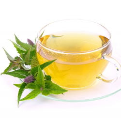 Hummingbird Mint sjemenke - Agastache mexicana - Plectranthus amboinicus