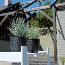 Pot bunga pusaran dengan piring - Ratolla - 14,5 cm - Putih - 