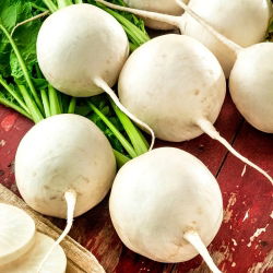 Nabo - Bola de nieve - Textura blanca crujiente, raíces suaves - Semillas frescas