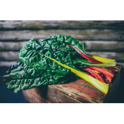 Pazı - çeşitli karışım - 40 tohum - Beta vulgaris  - tohumlar