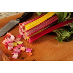 Pazı - çeşitli karışım - 40 tohum - Beta vulgaris  - tohumlar