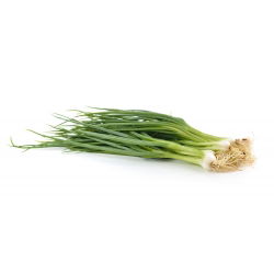 Cipolla d'inverno - Bajkal - Verdure durevoli, gustose e resistenti - Semi Freschi