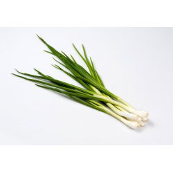 Cipolla d'inverno - Bajkal - Verdure durevoli, gustose e resistenti - Semi Freschi