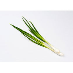 Cipolla d'inverno - Bajkal - Verdure durevoli, gustose e resistenti - Semi Freschi