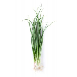 Cipolla d'inverno - Bajkal - Verdure durevoli, gustose e resistenti - Semi Freschi