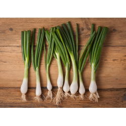 Cipolla d'inverno - Bajkal - Verdure durevoli, gustose e resistenti - Semi Freschi