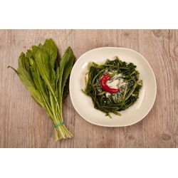 Čakanka "Spadona"; Radicchio - 2880 semien - Cichorium intybus ‘Spadona' - semená