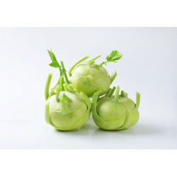 Koleraba, njemačka repa "Bijela Beč" - 260 sjemenki - Brassica oleracea var. Gongylodes L. - sjemenke