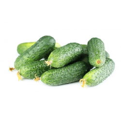 Cucumber - Cornichon de Paris - Perfect and Crunchy variety for Pickling - Fresh Seeds