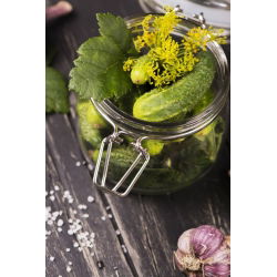 Cucumber - Cornichon de Paris - Perfect and Crunchy variety for Pickling - Fresh Seeds