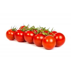 Tomato - Cherrola F1 - Tiny, Sweet, Juicy Tomatoes - Fresh Seeds