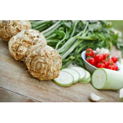 Celeriac, akar Saderi "Talar" - 900 biji - Apium graveolens - benih