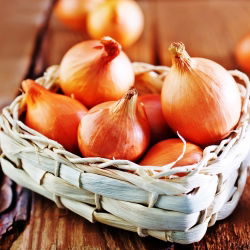 Cipolla - Wolska - Cipolle a raccolta tardiva, perfette per conservazione - Semi Freschi