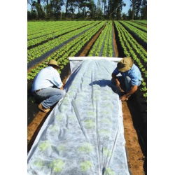 Proljetna runo (agrotekstil) - zaštita biljaka za zdrave usjeve - 3,20 mx 5,00 m - 