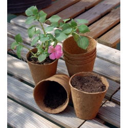 Runda torvkrukor ø6 cm - 100 stycken - 