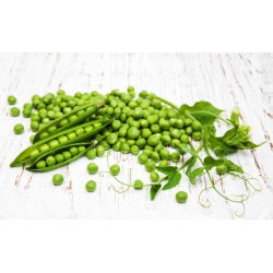 Pisello a grano rugoso - Meraviglia di Kelvedon - Raccolta anticipata, baccelli freschi eccellenti - Semi Freschi