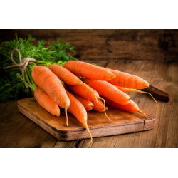 Морква "Олімп" - пізній, смачний сорт - 4250 насіння - Daucus carota