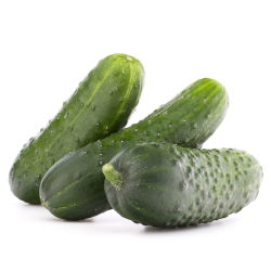 Cucumber - Krak F1 - Resilient, Firm and Crunchy, Ideal for Pickling - Fresh Seeds