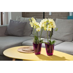 Pot de fleurs rond, haut - Lilia - 12,5 cm - Violet transparent - 