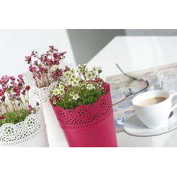 Okrugli cvjetni lonac s čipkom - 16 cm - Čipka - Rapsberry - 