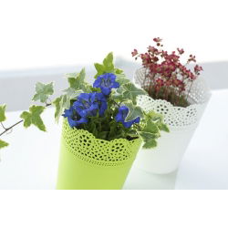 Pot bunga bundar dengan renda - 13,5 cm - Renda - Putih - 