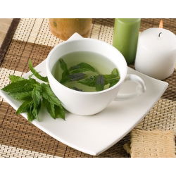 Konjski bosiljak; Vrtna metvica, metvica, janjetina metvica, metvica skuše - 1200 sjemenki - Mentha spicata - sjemenke