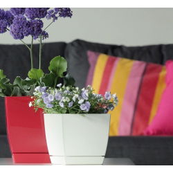 Vierkante bloempot met schotel Coubi - 13,5 cm - wit - 