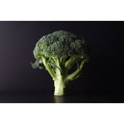 Broccoli - Limba - Maturare timpurie, cu creștere rapidă și bogat în vitamine - Semințe proaspete