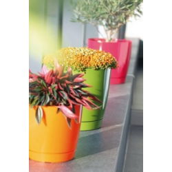 Rund blomkruka med fat - Coubi - 13,5 cm - Vit - 