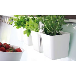 Firkantet urtepotte, dobbelt - Twins Cube - 24 x 11 cm - Hvid - 