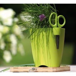 Apaļš stumbra katls - Limes Uno - 13 cm - balts - 
