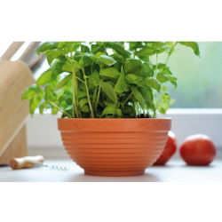 Kulatý květináč, miska - Misa - 34 cm - Terakota - 