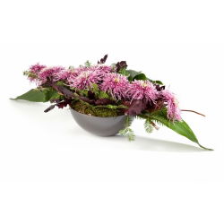 Mísa - složení základu - Misa Rukola - 30 cm - zlato - 