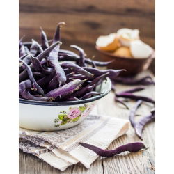 Đậu xanh "Blauhilde" - stakes, tím pod đa dạng - Phaseolus vulgaris L. - hạt