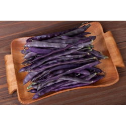 Đậu xanh "Blauhilde" - stakes, tím pod đa dạng - Phaseolus vulgaris L. - hạt
