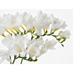 Freesia Single White - 10 lampu