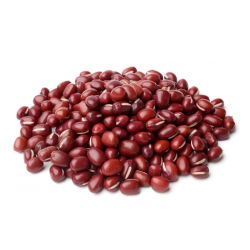 Ituja - siemeniä - Tarhapapu - Adzuki - 550 siemenet - Vigna angularis